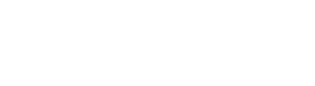 Speed Triple logo